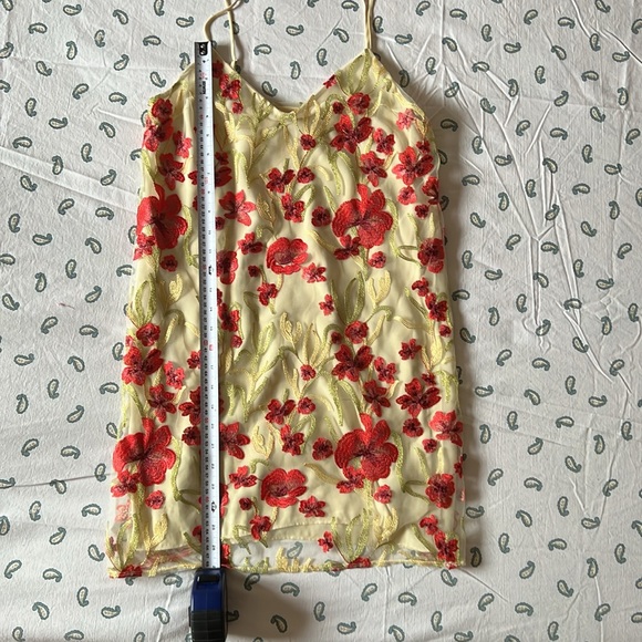 Little moon Cheyenne embroidered slip mini dress - Picture 3 of 6